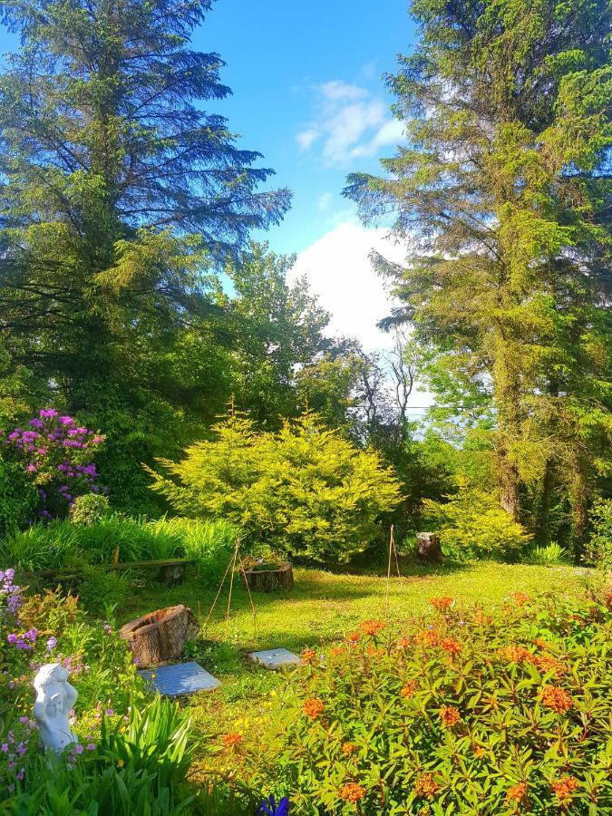 波特萨伦 Leenan View Country House旅馆 外观 照片